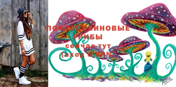 ALPHA PVP Рославль