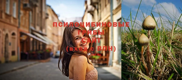 a pvp Россошь