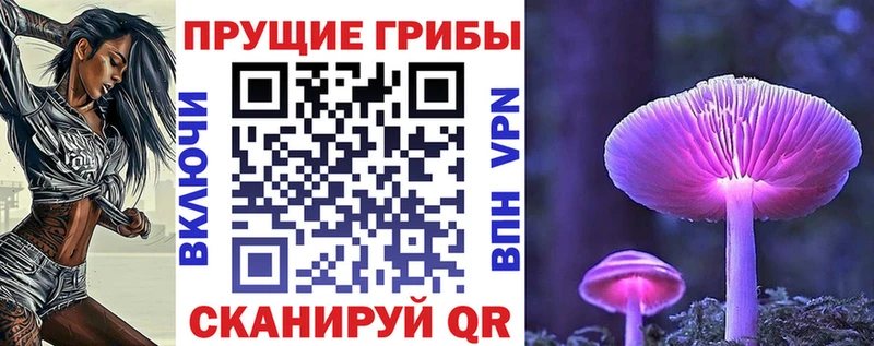 Псилоцибиновые грибы Cubensis  где найти наркотики  Юхнов 